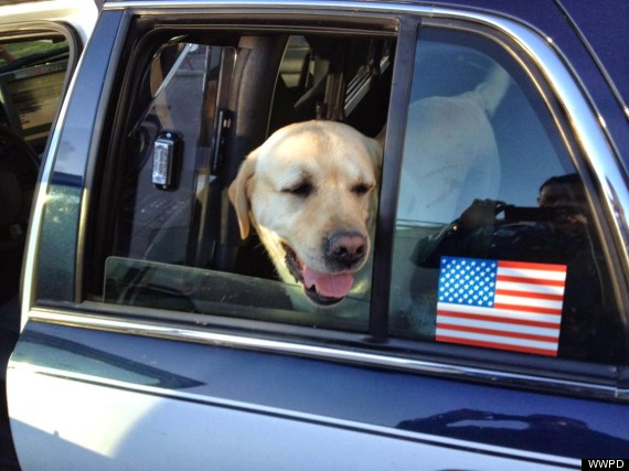 Wesley en el auto